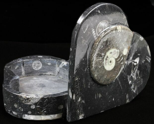 Heart-Shaped Fossil Goniatites Box - (Black) #37999